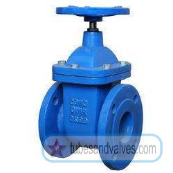 125mm or 5 NB LEADER GATE VALVE CAST IRON BODY F/E-FLANGED END TO CLASS 125 CU-ALLOY TRIM NRS-57144