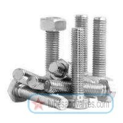 3/4 NB x 2 1/2 NB Long MS Bolt Nut with 2 washer-18054