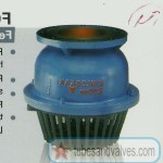 50mm or 2" NB KIRLOSKAR  FOOT VALVE CAST IRON BODY - SWING TYPE AS PER IS 4038