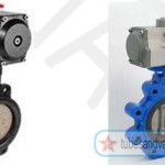 100 mm or 4" NB  BUTTERFLY WITH PNEUMATIC ACTUATOR