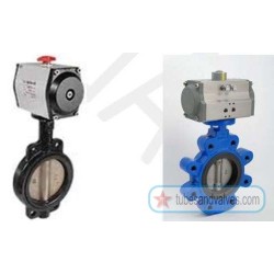 40mm or 1 1/2 NB BUTTERFLY WITH PNEUMATIC ACTUATOR-78116