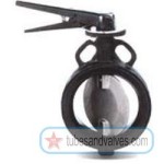 65mm or 2 1/2" NB CI-CAST IRON BUTTERFLY VALVE EPDM LINING SS-STAINLESS STEEL304 WORKING PARTS FLOWJET