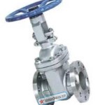 50mm Casco SS 304 Gate Valve Flange End 150# CF8 50mm Casco SS 304 Gate Valve Flange End 150# CF8