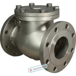 100mm Casco SS 316 Swing Check Valve Flange End 150# CF8M-80676