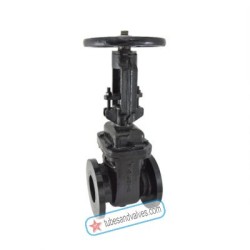 2-1/2 or 65mm ZOLOTO 1079D CAST IRON SLUICE VALVE PN 1.6 FLANGED WITH RISING STEM-84495